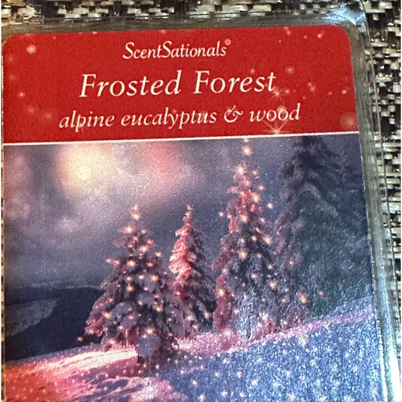 2 Scented Wax Cubes Melts Frosted Forest alpine eucalyptus & wood ScentSationals - Picture 5 of 5